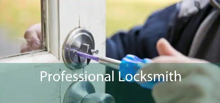 Professional Locksmith  - 